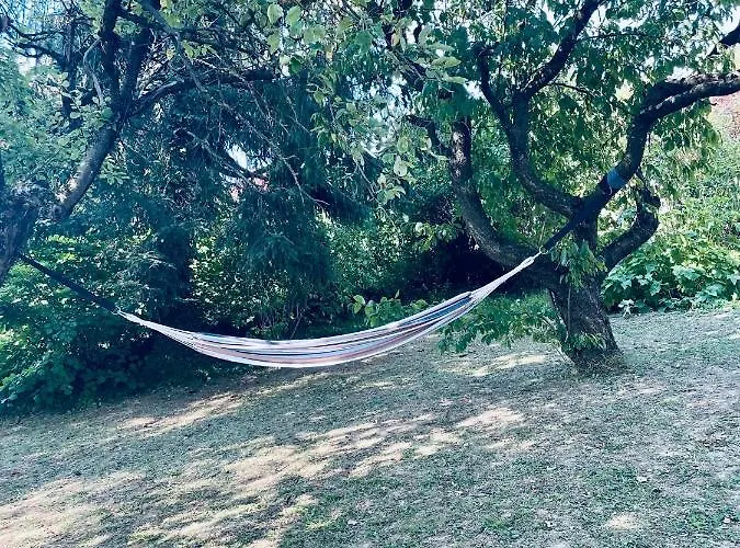 Freiblick 1 Bad Glbg Mit Garten Top1 باد غليشنبرج